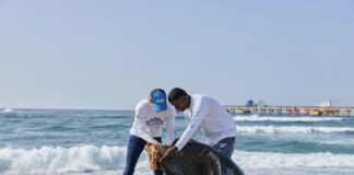 United Petroleum recolecta más de 3 mil libras de residuos en Playa Gringo