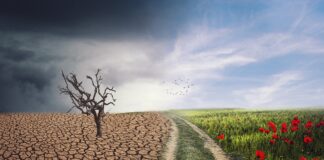 Financiamiento climático: República Dominicana construye la arquitectura de un nuevo modelo de desarrollo