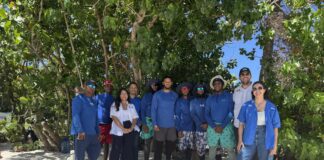SOS Carbon consolida expansión internacional bajo Grupo BlueGea