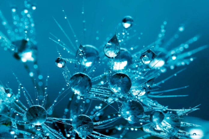 Untitled-1 El contenido líquido plantea una transformación radical de las redacciones en la era de la inteligencia artificial