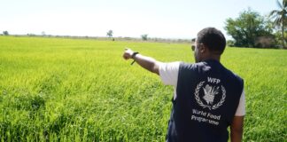Programa Mundial de Alimentos activa campaña preventiva por temporada ciclónica