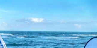 Suzuki Marine y Grupo Avant impulsan jornada de limpieza costera