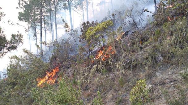 Investigadores de la UOC presentan guía para fortalecer la resiliencia comunitaria frente a los incendios forestales