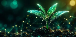 Inteligencia artificial impulsa la retención de clientes en las aseguradoras