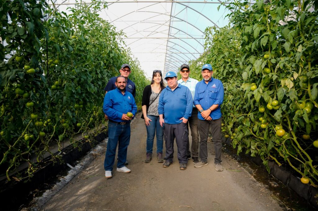 República Dominicana comparte con Chile avances en agricultura bajo ambiente protegido