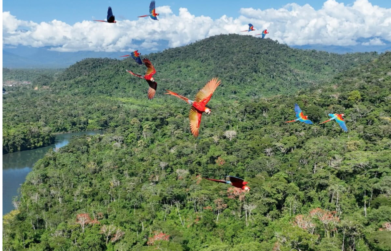 Mongabay Latam cumple una década de periodismo ambiental en la región