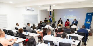 ETED proyecta incorporar 600 MW de almacenamiento con baterías al SENI