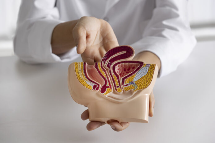 high-angle-doctor-explaining-anatomy Innovación y precisión abren nuevas alternativas para tratar el cáncer urológico