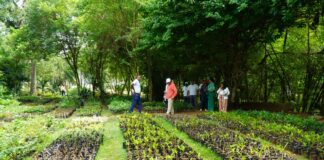 Digecac realizará su Primer Festival de Plantas 2026