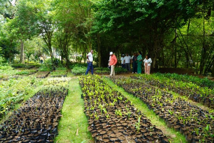Digecac realizará su Primer Festival de Plantas 2026