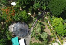 Más de 12 mil personas participan en primer Festival de Plantas de la DIGECAC