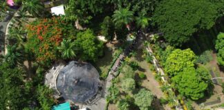 Más de 12 mil personas participan en primer Festival de Plantas de la DIGECAC