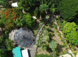 Más de 12 mil personas participan en primer Festival de Plantas de la DIGECAC