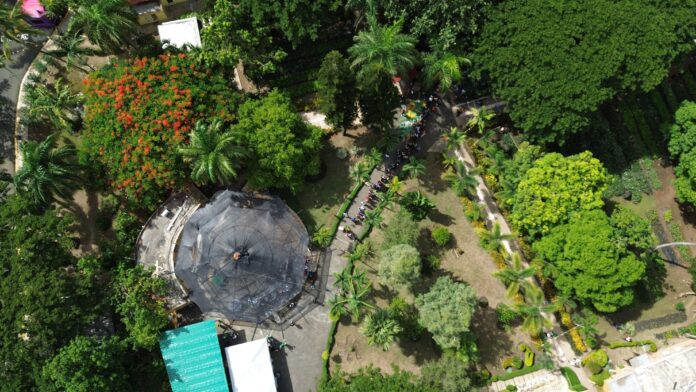 Más de 12 mil personas participan en primer Festival de Plantas de la DIGECAC
